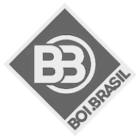 Logo Boi Brasil