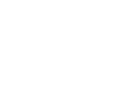 Logo Fokus