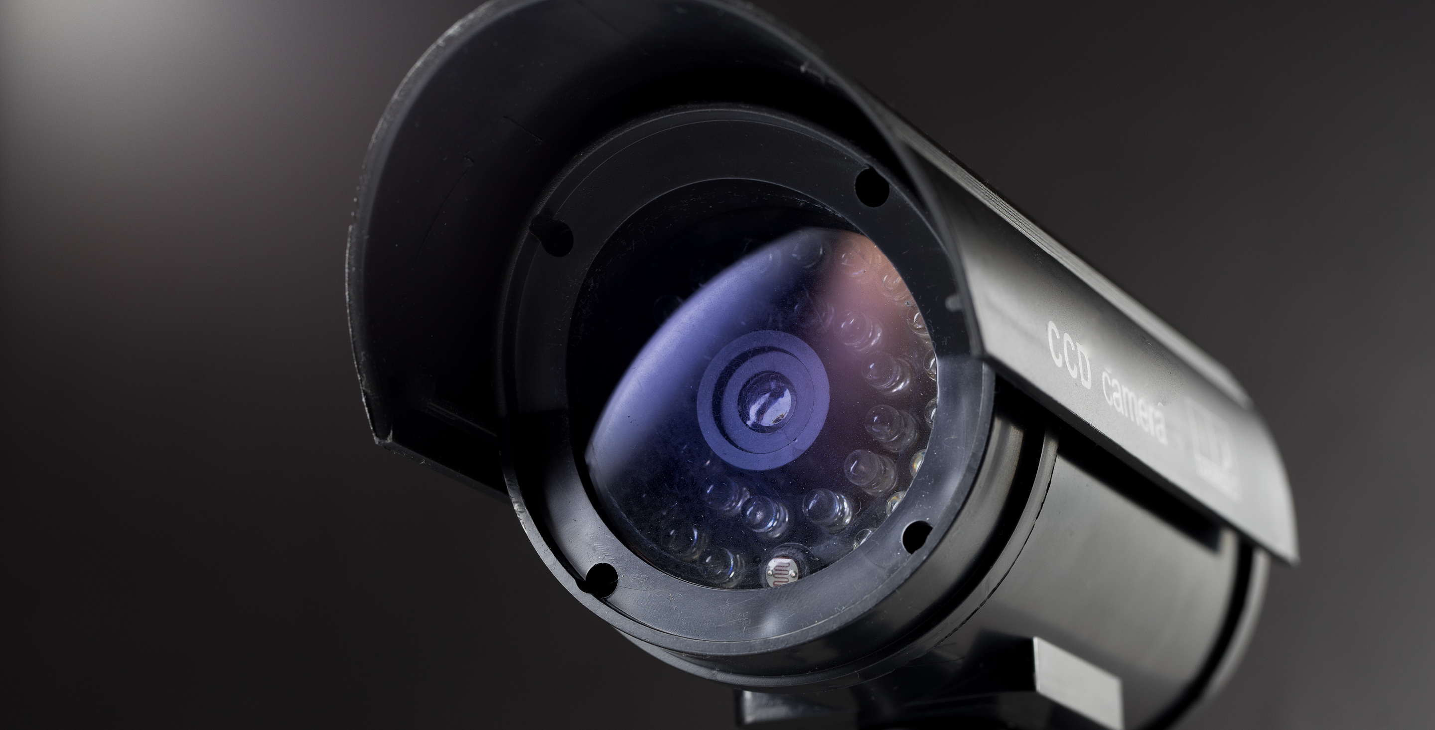 Physical Security Services