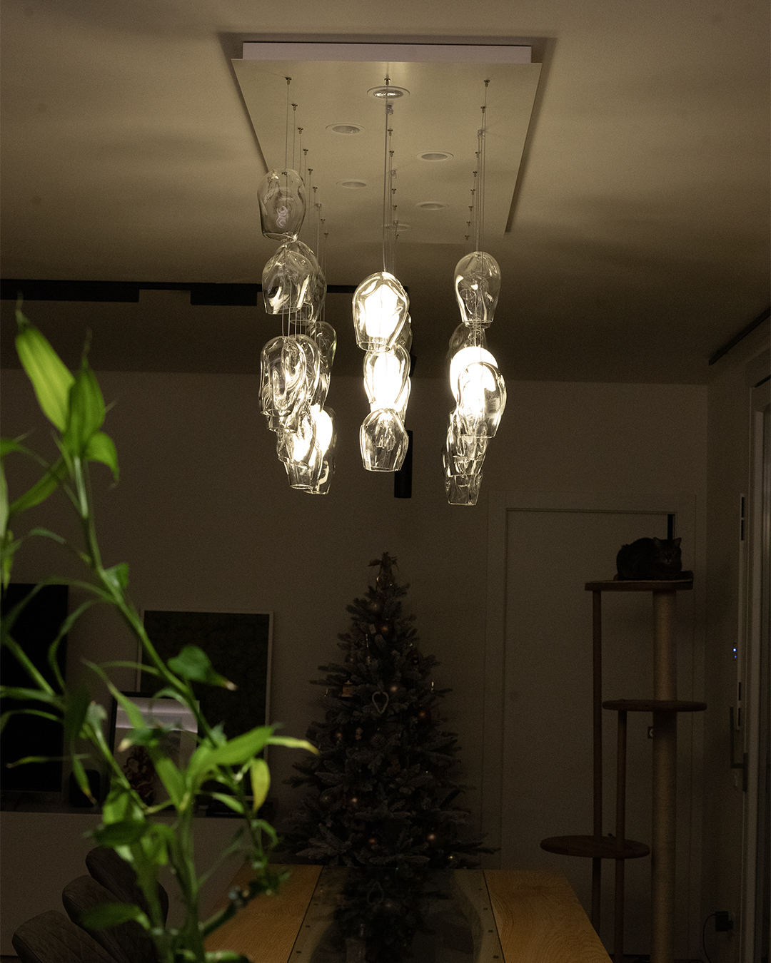 Icerock young living