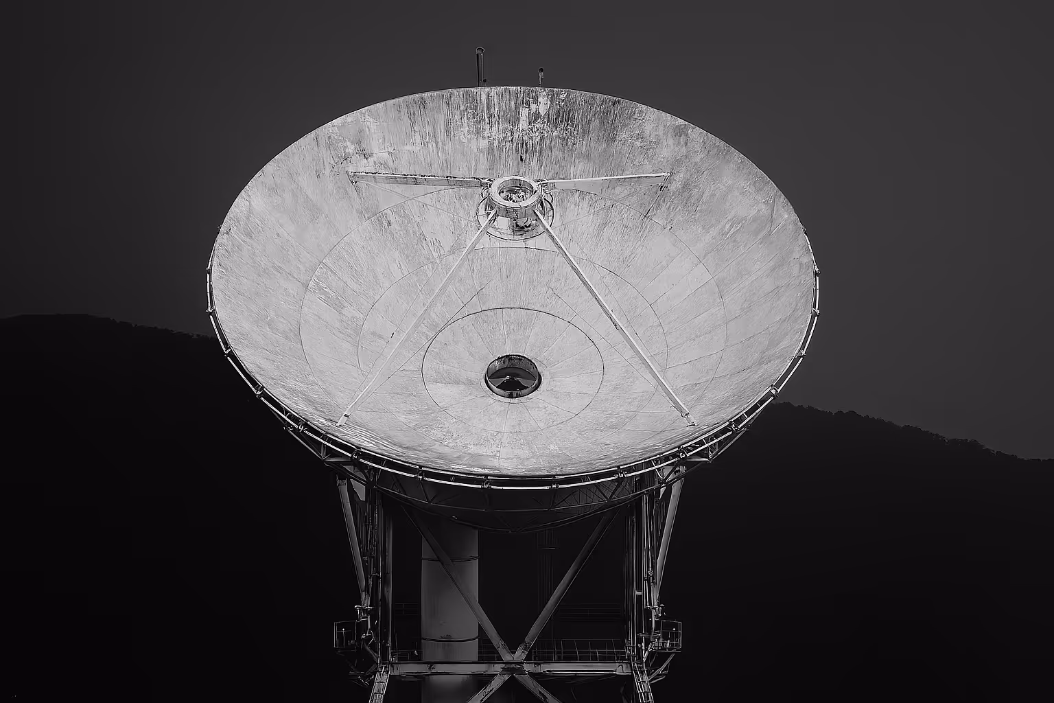 Main Image - Disclose Studios