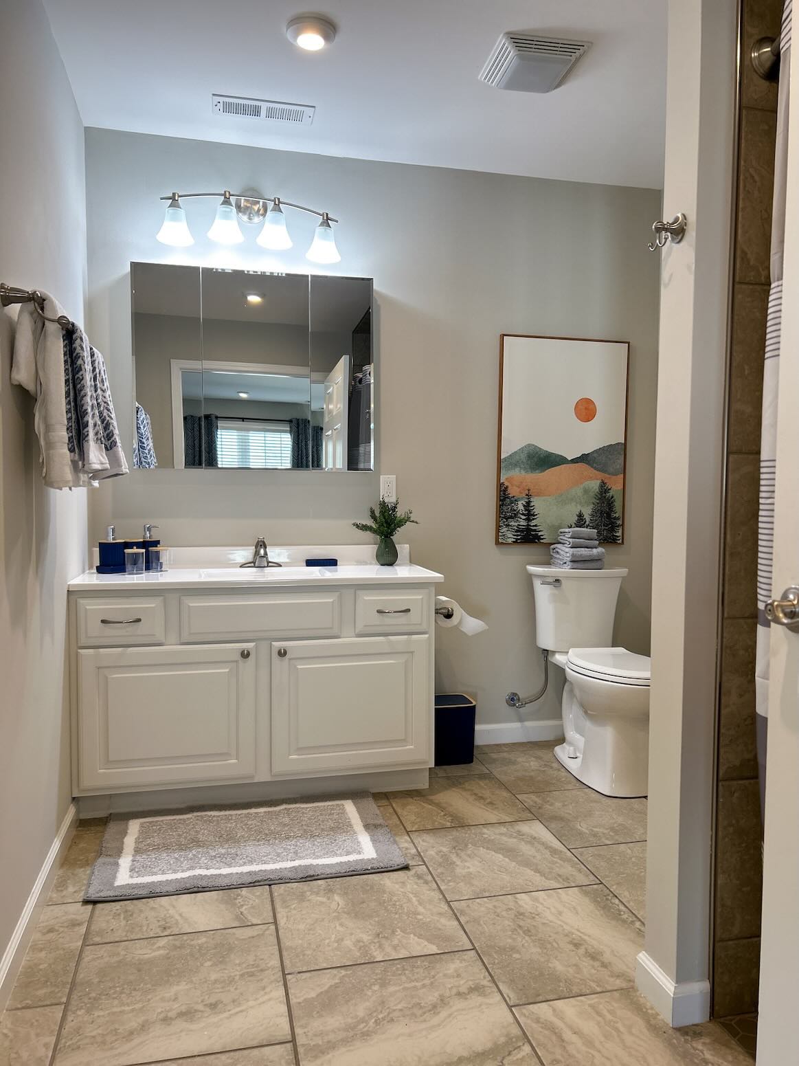 Lake House Assisted Living apartment bathroom.