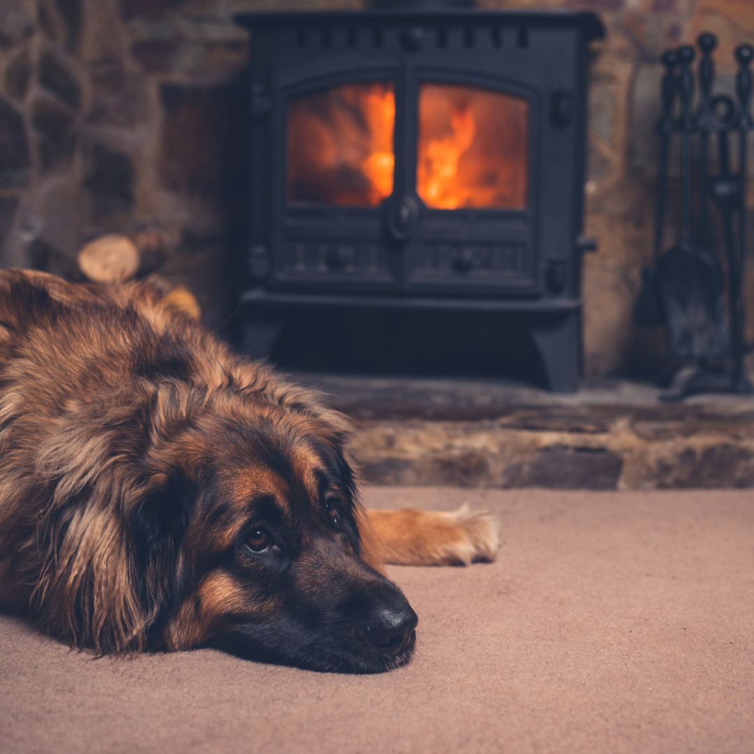 buy fireplace with ultra comfort mississauga