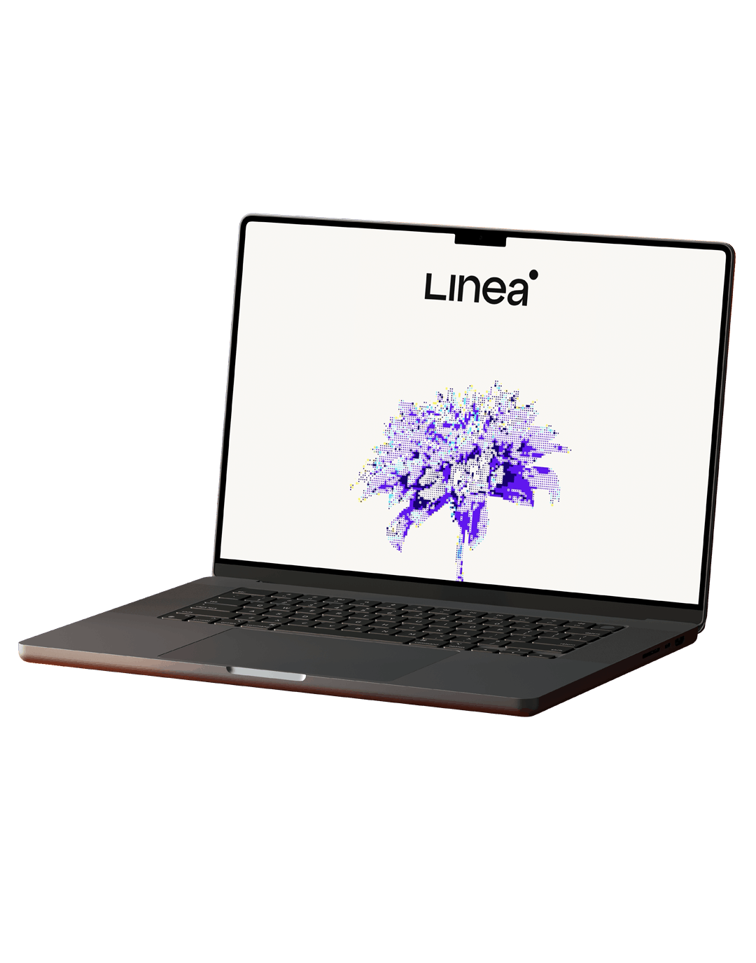 Linea brand refresh project, flower on computer