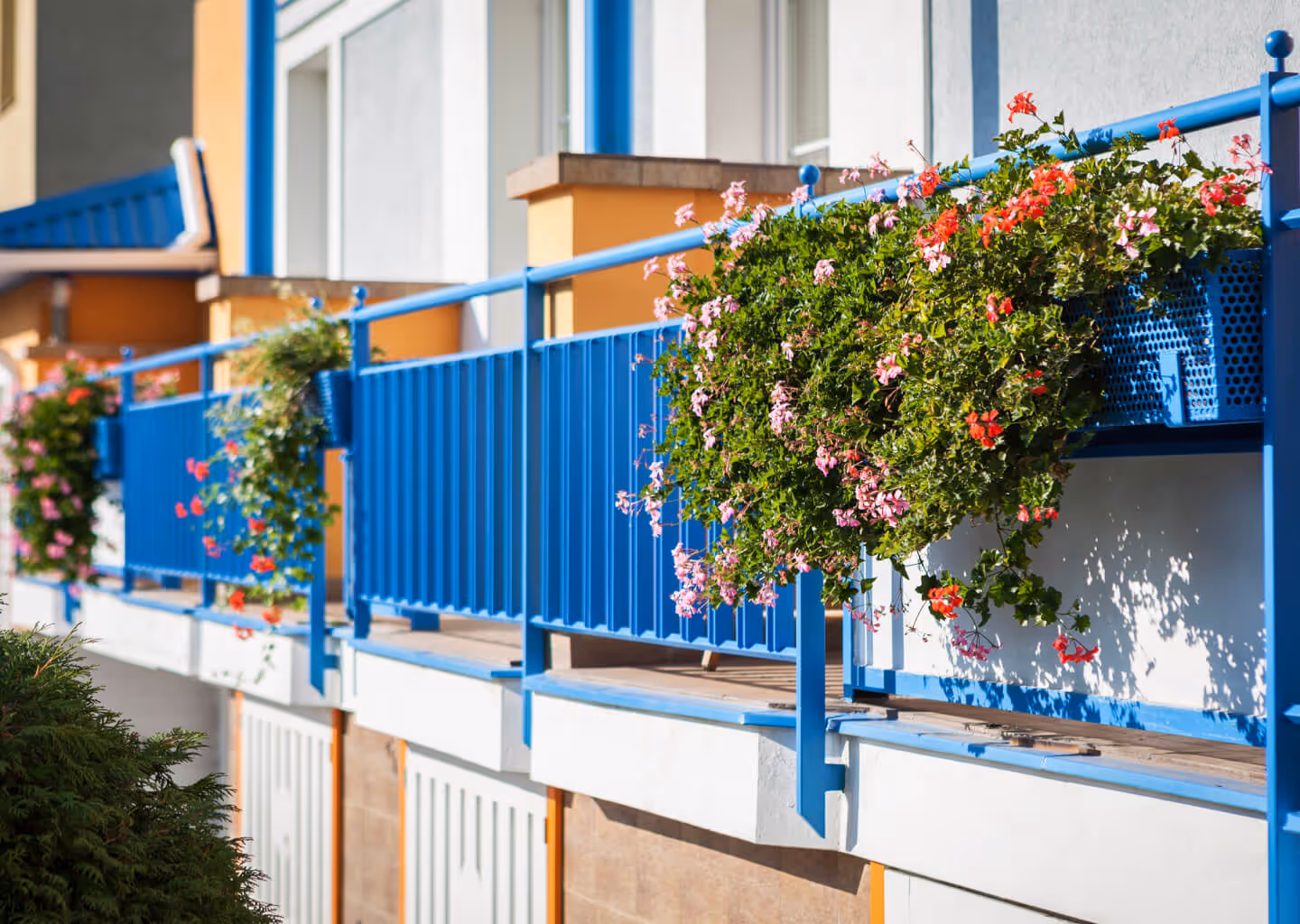 Fotografie exteriéru penzionu Sirius.