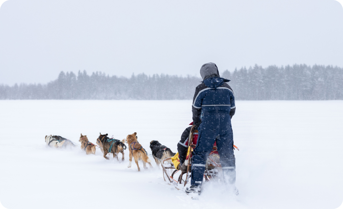 A couple enjoying husky trip in Swedish Lapland
