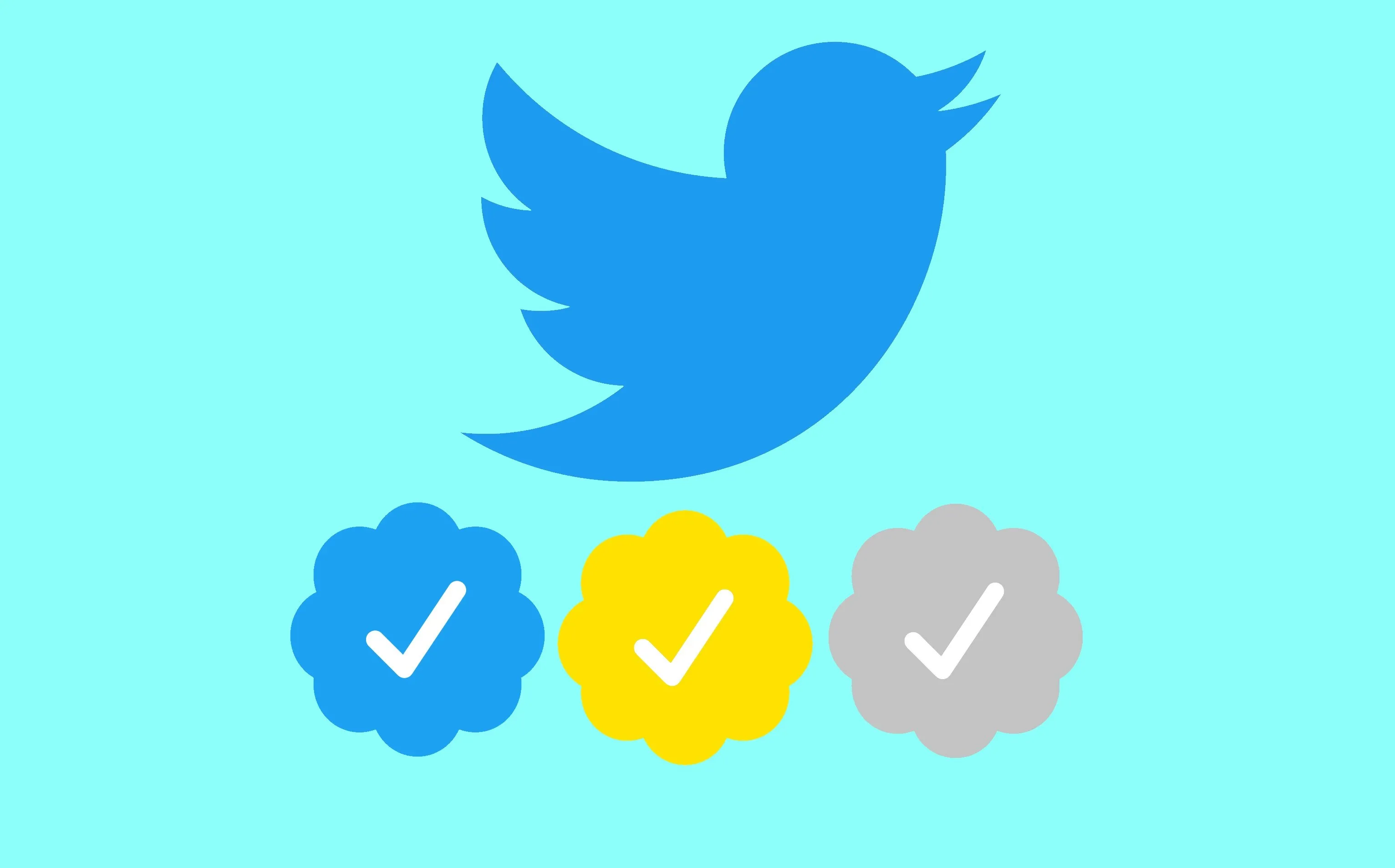Twitter Sarı Onay Rozeti Nasıl Alınır