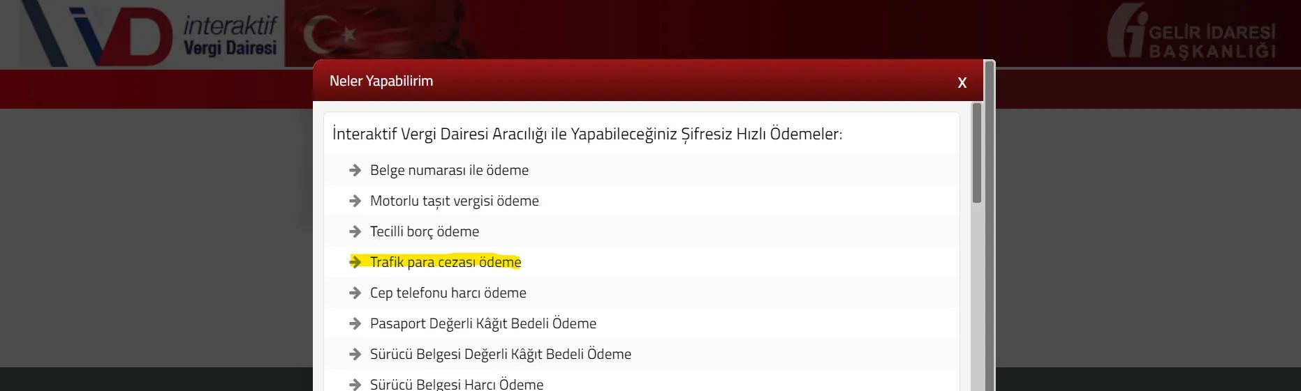GİB Trafik Cezası Ödeme Ekranı