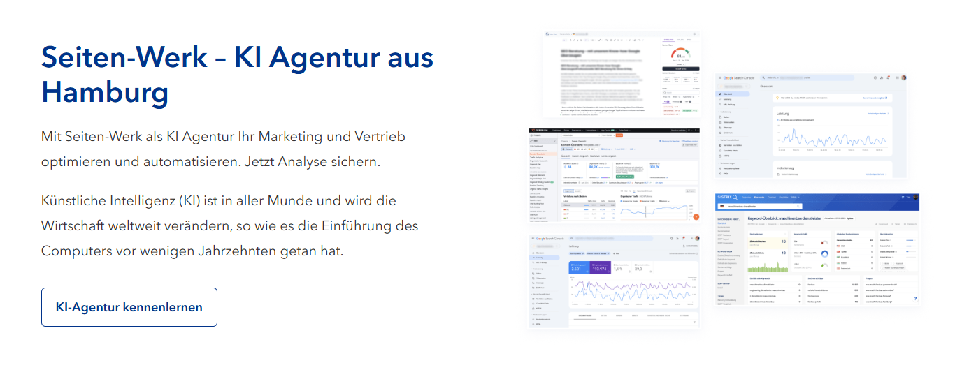AI automation agency Seiten