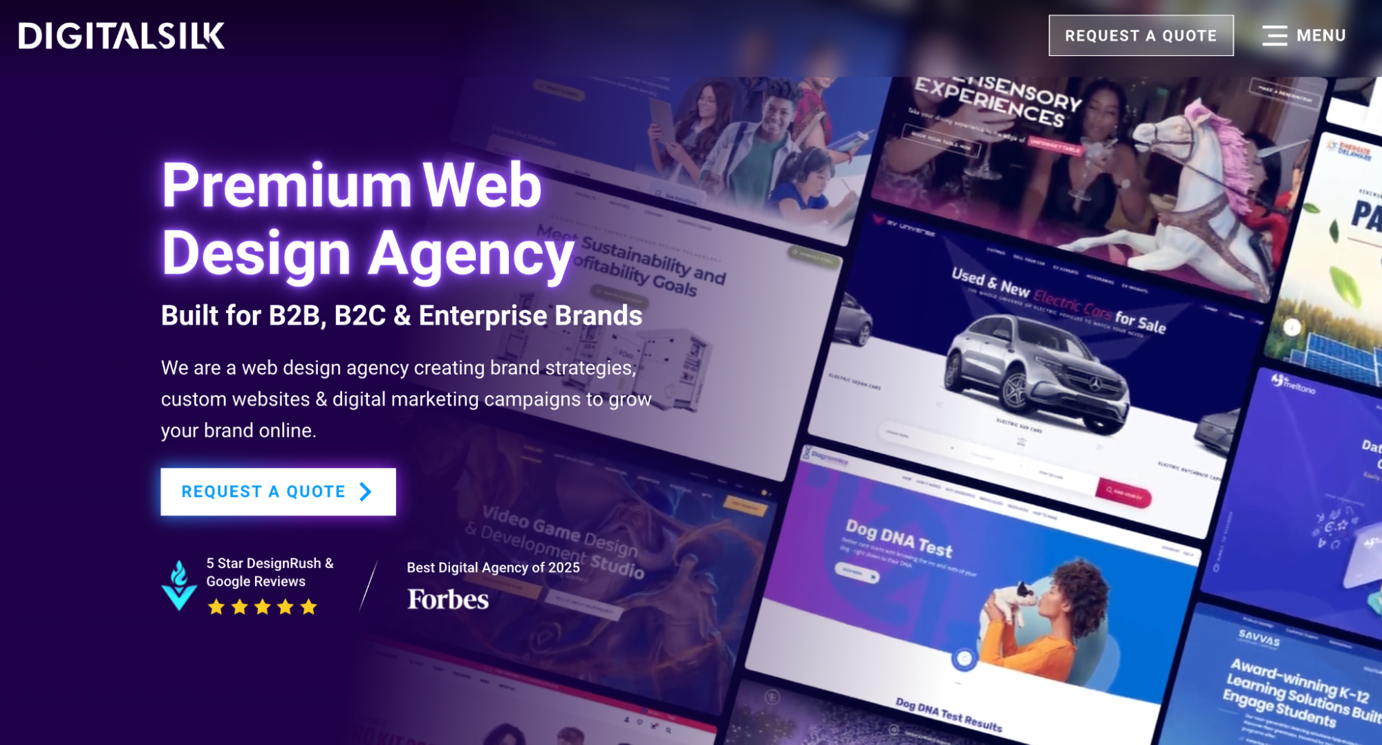 Screenshot of Digital Silk’s homepage presenting their services for businesses