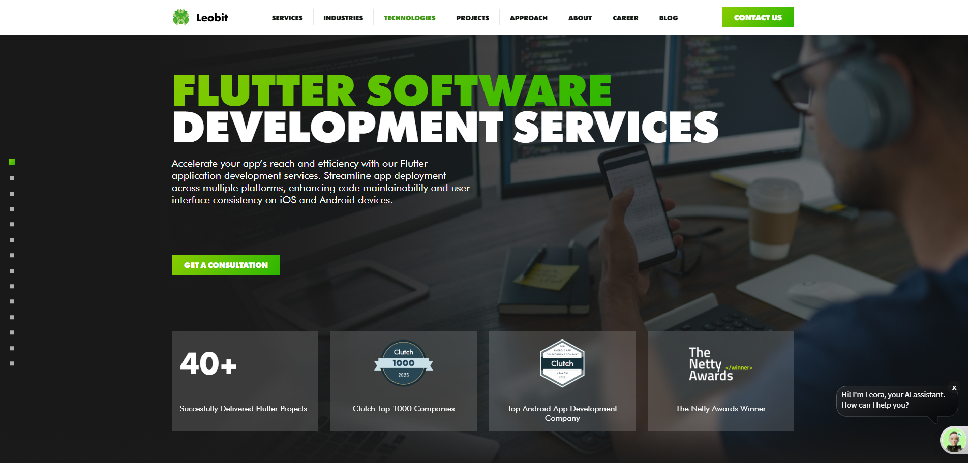 Leobit webpage outlining their services and case studies