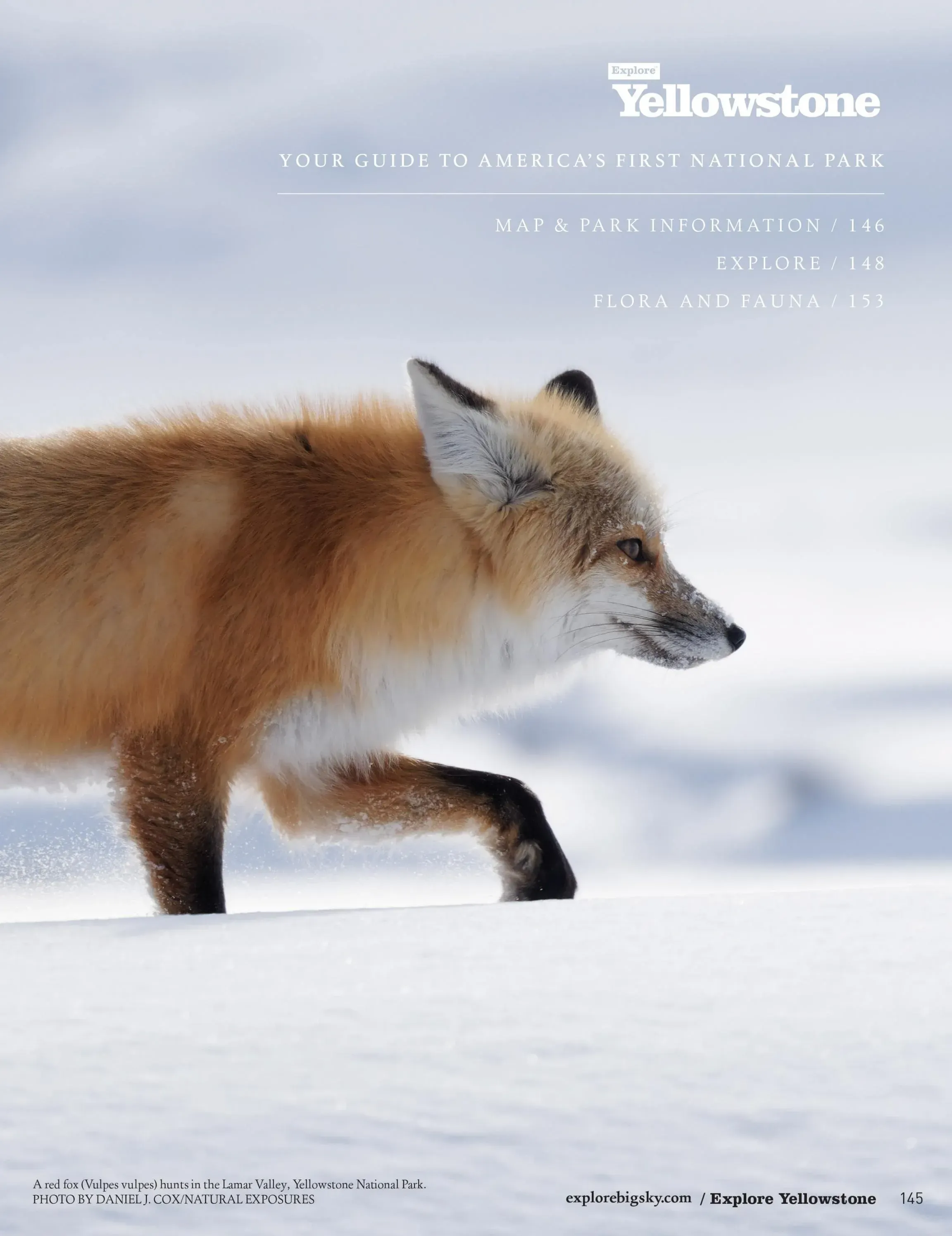 Explore Yellowstone Summer 2022