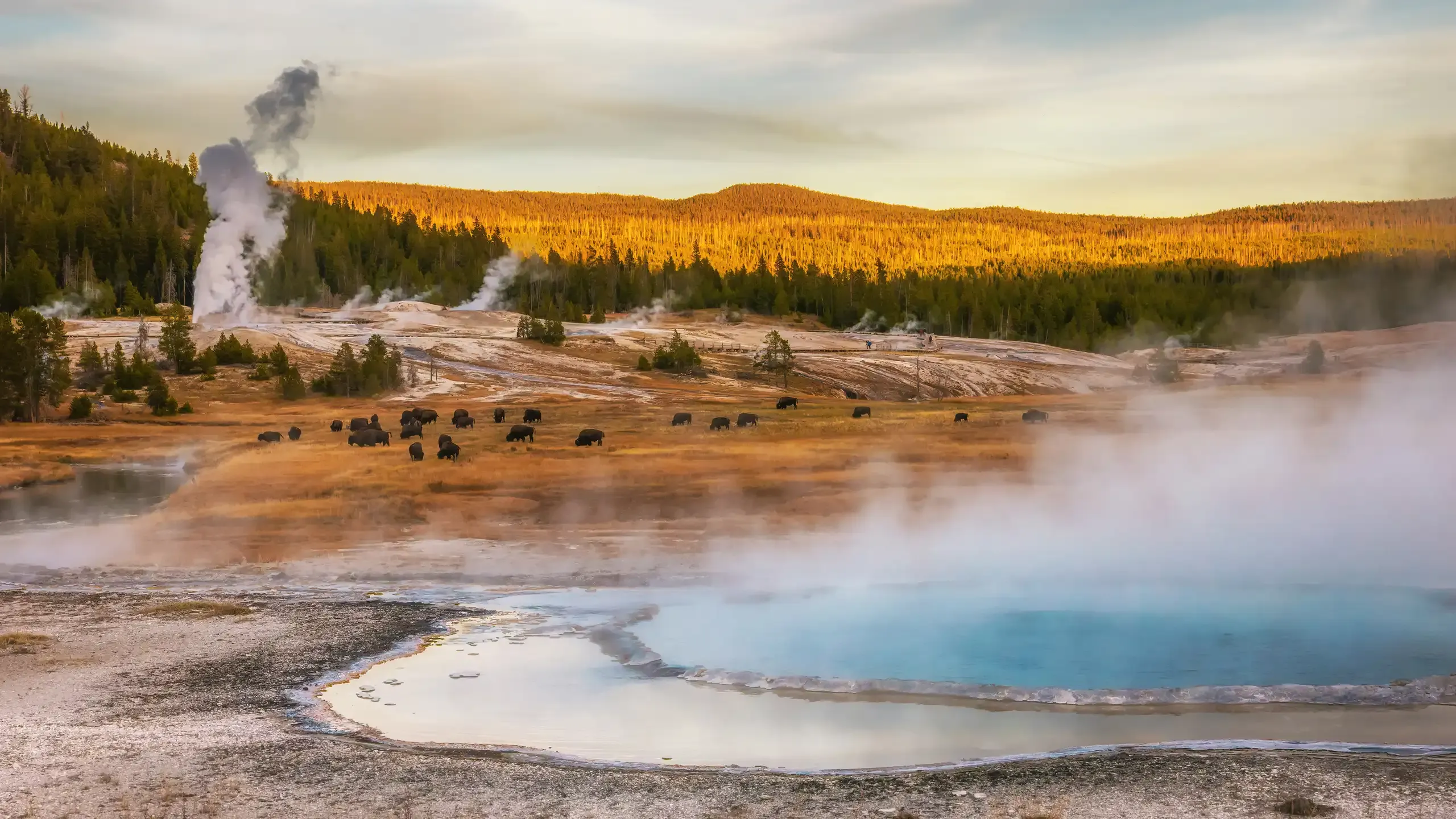 Grand Prismatic Spring in Yellowstone National Park