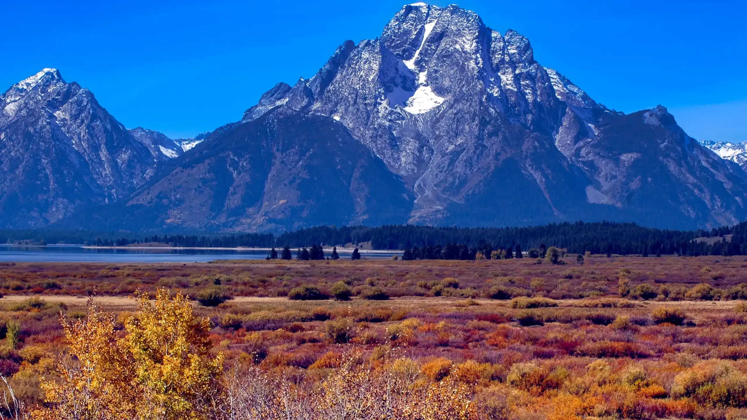 Mount Moran and fall color in Grand Teton National Park