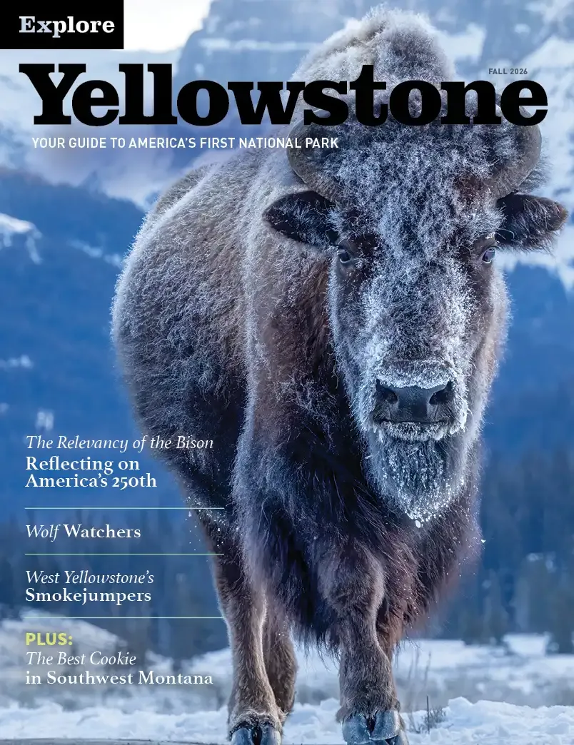 Explore Yellowstone Fall 2026 cover