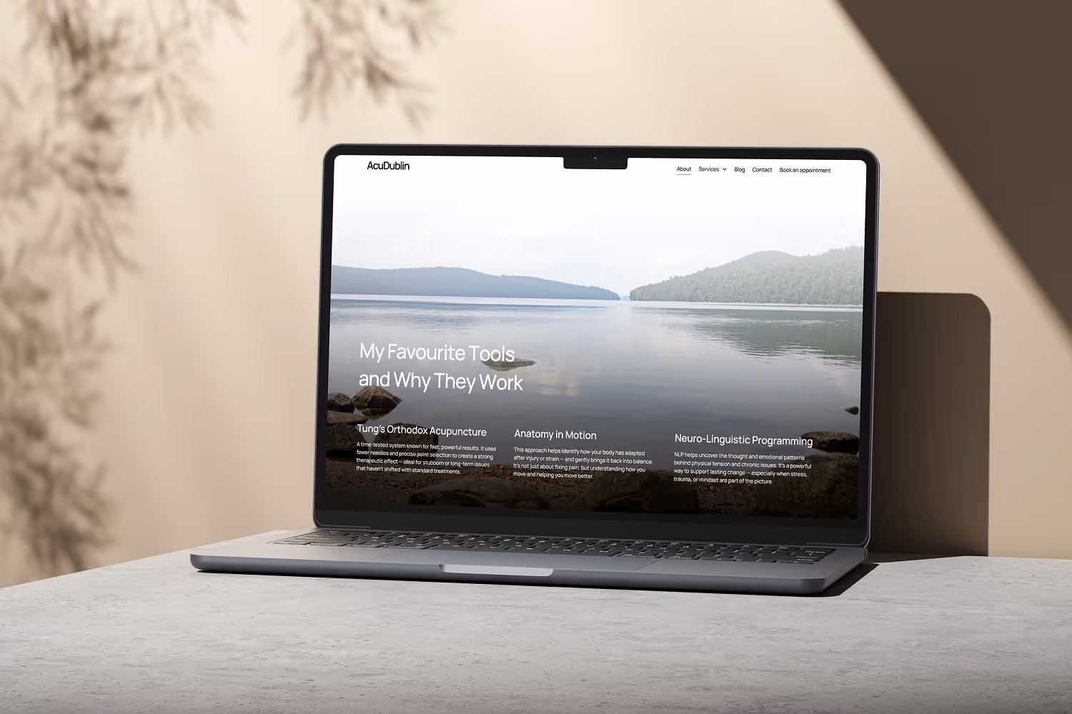 Mockup of AcuDublin website