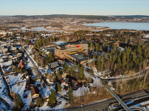 En stor vannmasse omgitt av et frodig grønt felt.