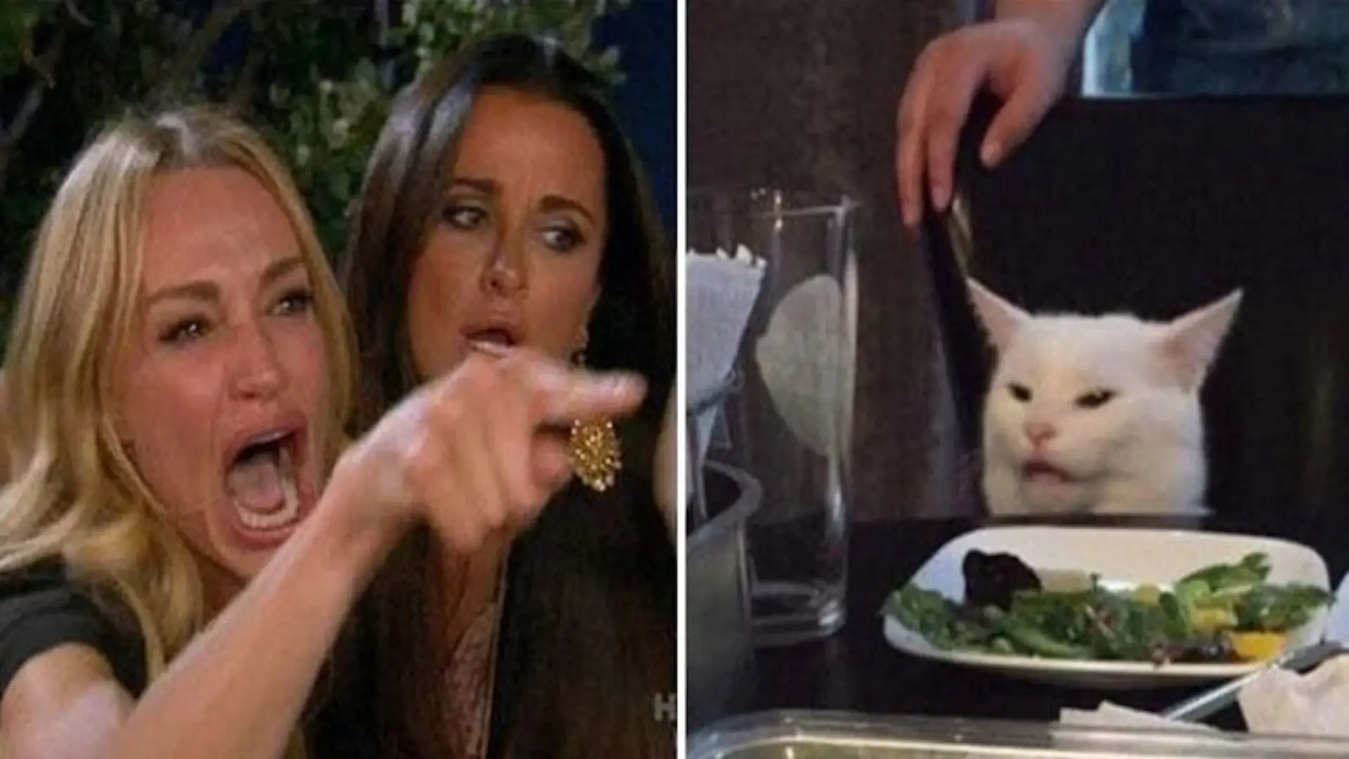 Image of woman yelling on the left side and a confused cat at a table on the right side