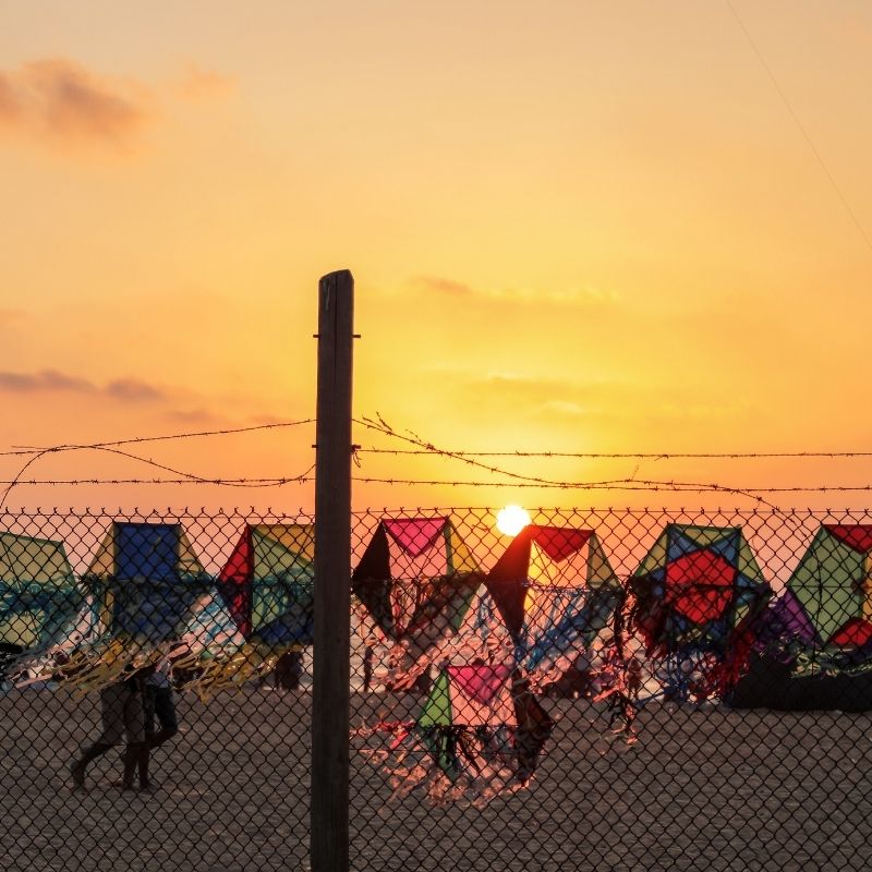 Gaza crisis escalates urgently