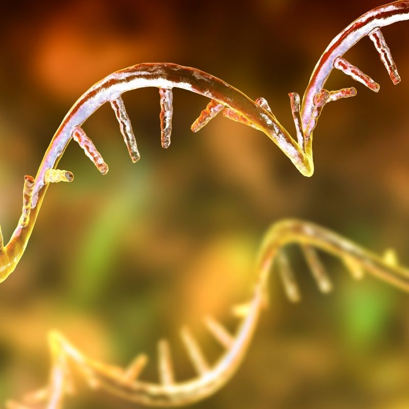 Funding cut for mRNA vaccines