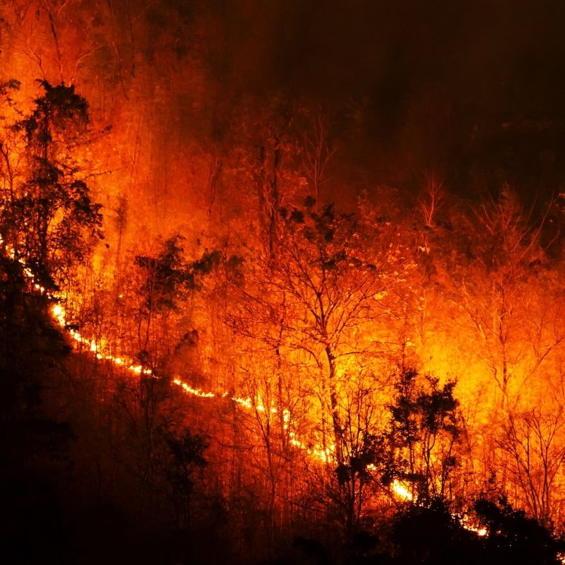 Wildfires rage in Iberia