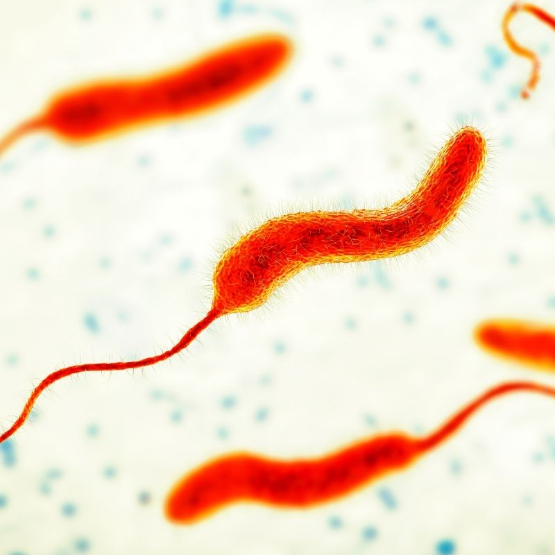 Cholera outbreak claims lives in Darfur