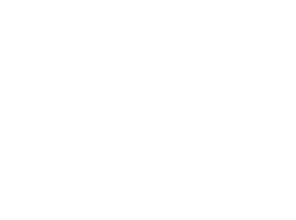 Allegro logo