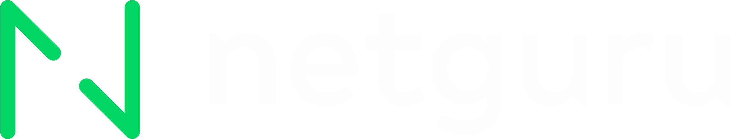 Netguru logo