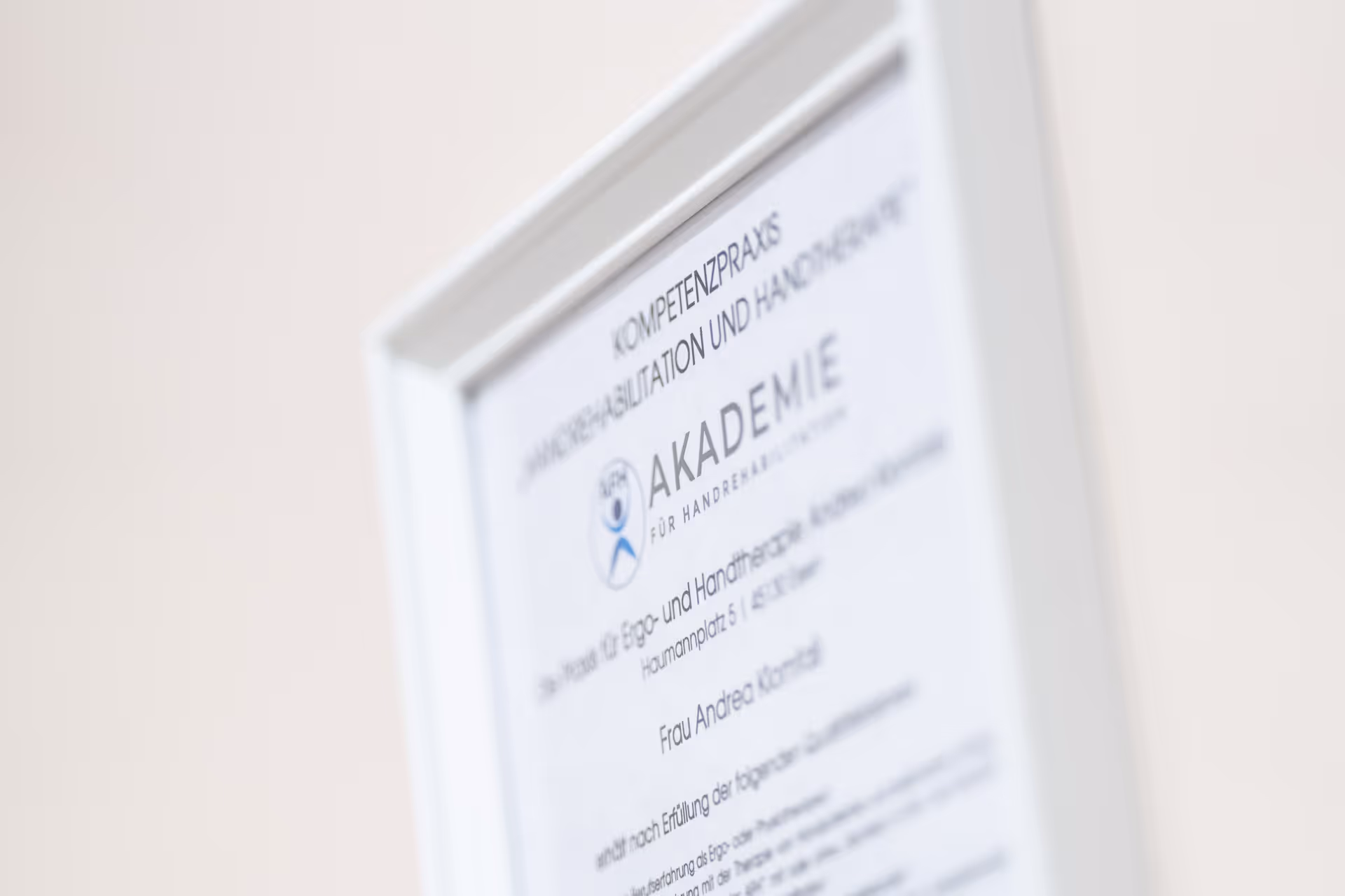 Aufnahme eines Zertifikats für Handrehabilitation und Handtherapie.