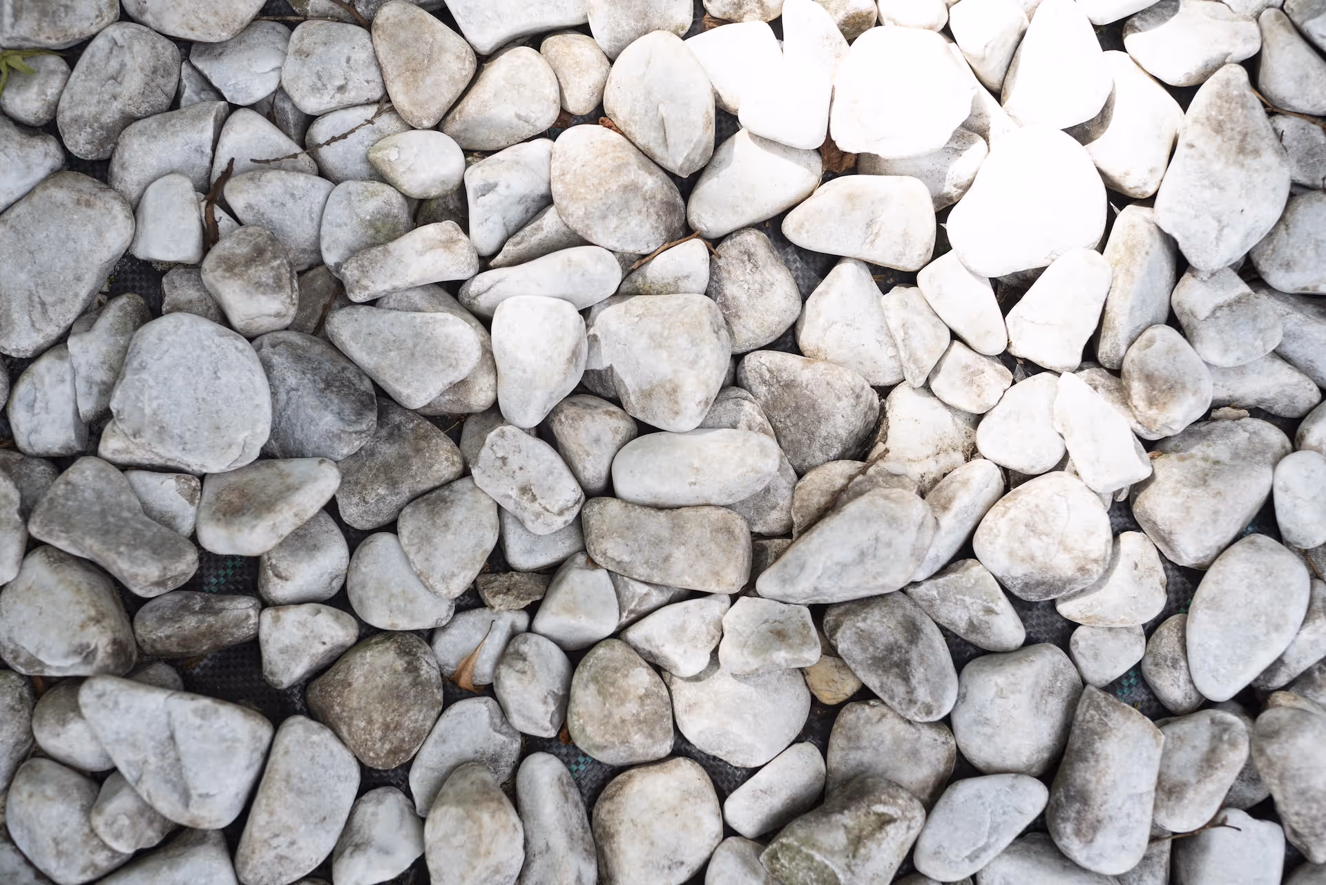 Bild von Kieselsteinen.