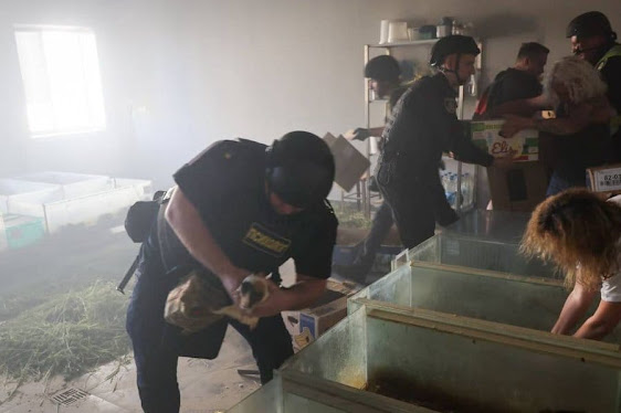 Zoo in Kharkiv was attacked by russians
