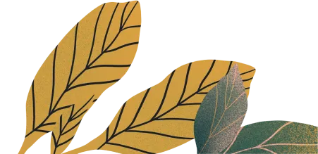 dry leaves illustration