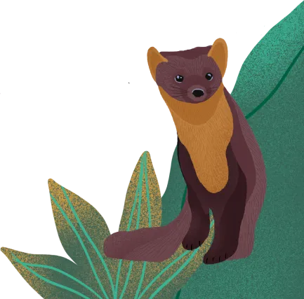 open book illustration