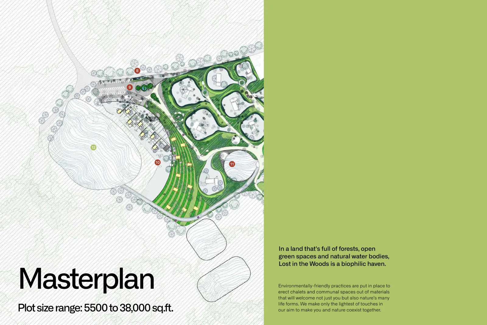 white & green brochure