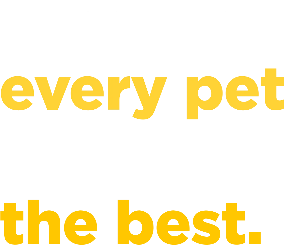 white & yellow text
