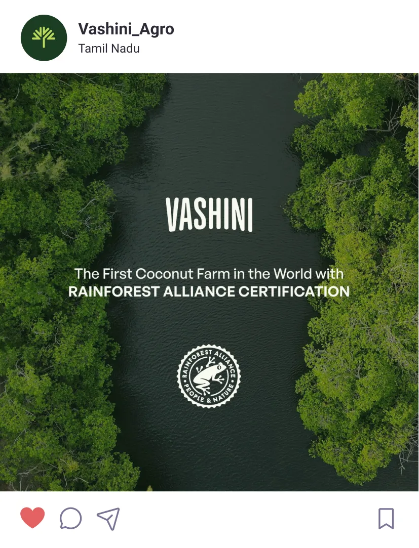 Aerial view of dense green trees surrounding a calm dark water body with text stating VASHINI as the first coconut farm in the world with Rainforest Alliance Certification.