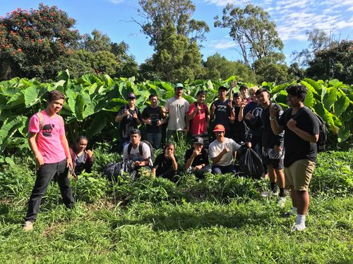 HIP Agriculture Awarded Federal USDA Grant to Revolutionize Farm-to-School Programs in North Kohala, Hawaiʻi