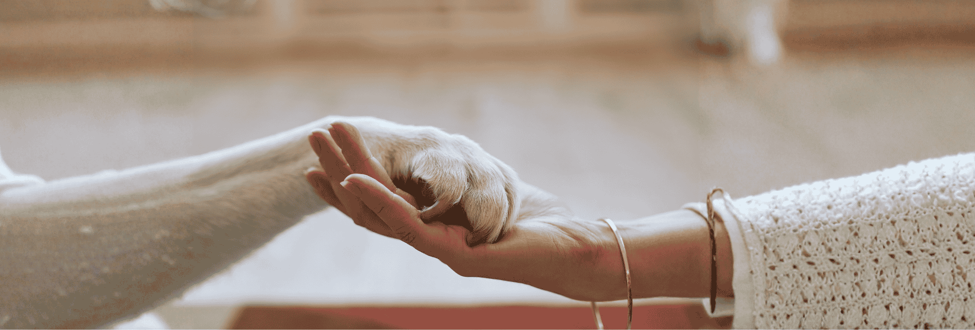 SCHÖNES LEBEN Group – SEO-Landingpage „Senior Living with Pets”