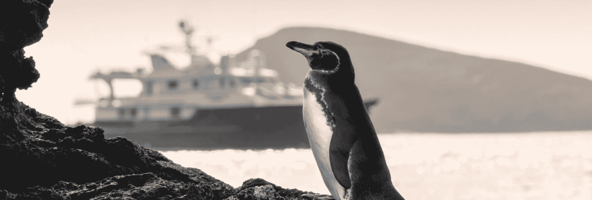 Signature Kollection Travel expands its portfolio with an exclusive Ecuador and Galápagos tour focused on sustainable travel