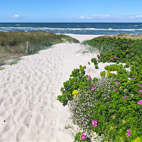 Strandzugang auf der Halbinsel Fischland-Darß-Zingst 
