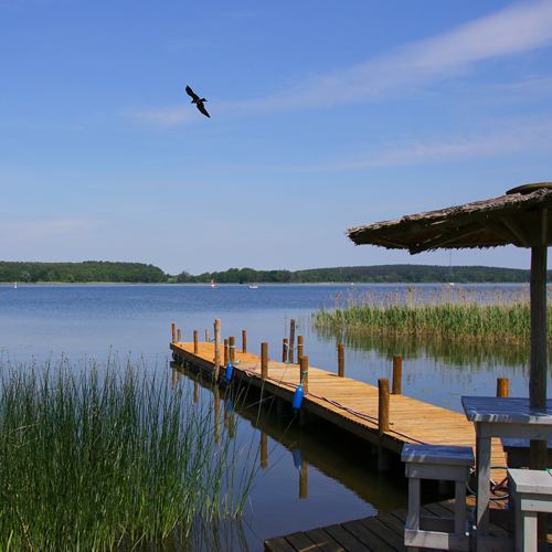 Ein Steg am See in der Mecklenburgischen Seenplatte. 