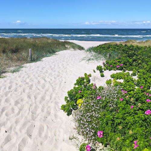 Strandzugang auf der Halbinsel Fischland-Darß-Zingst 