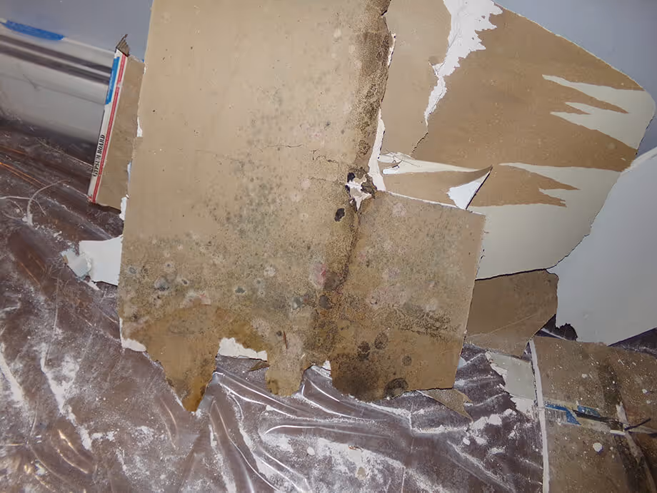 Expert Technicians Ensuring Quality Restoration