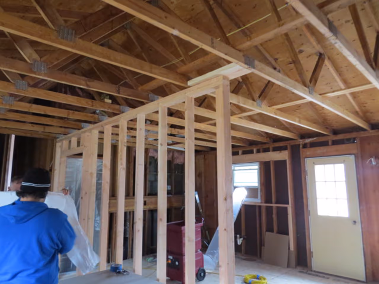 ct mold removal