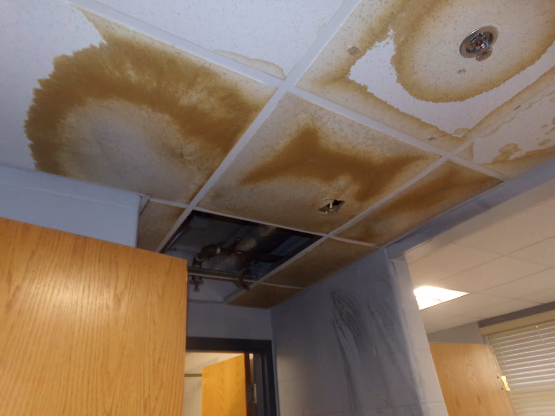 water damage restoration greenwich ct