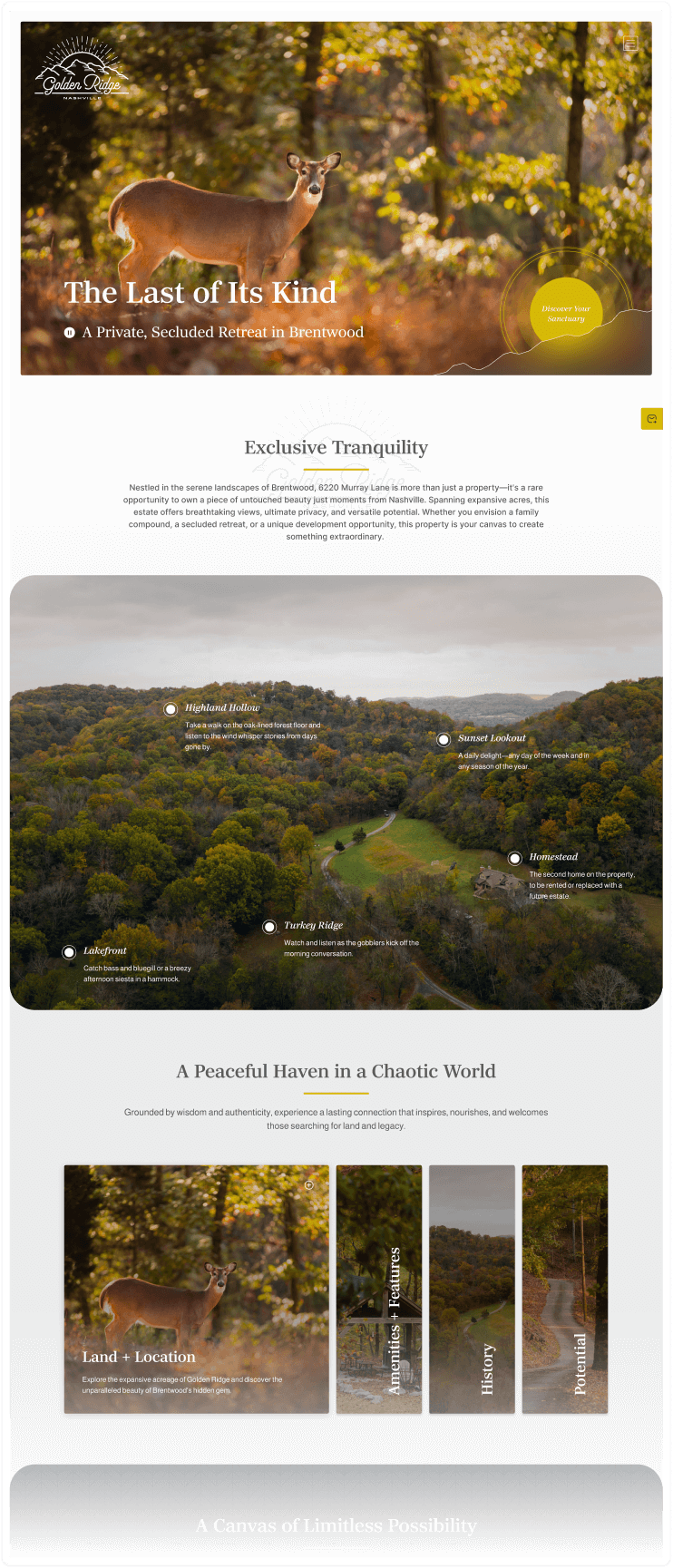 Golden Ridge home page mockup.