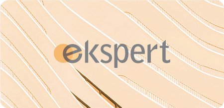 Ekspert