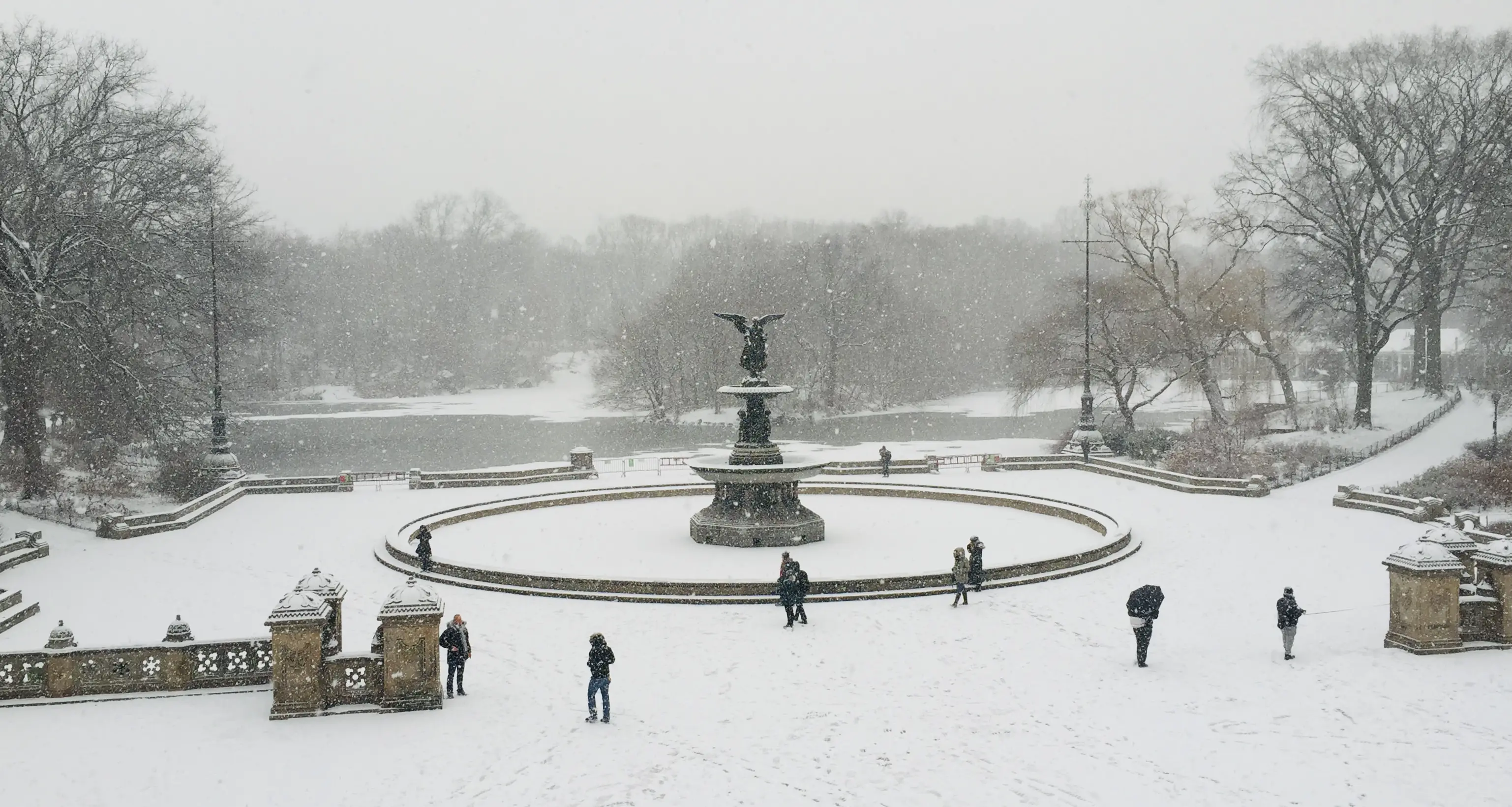 Winter in Central Park