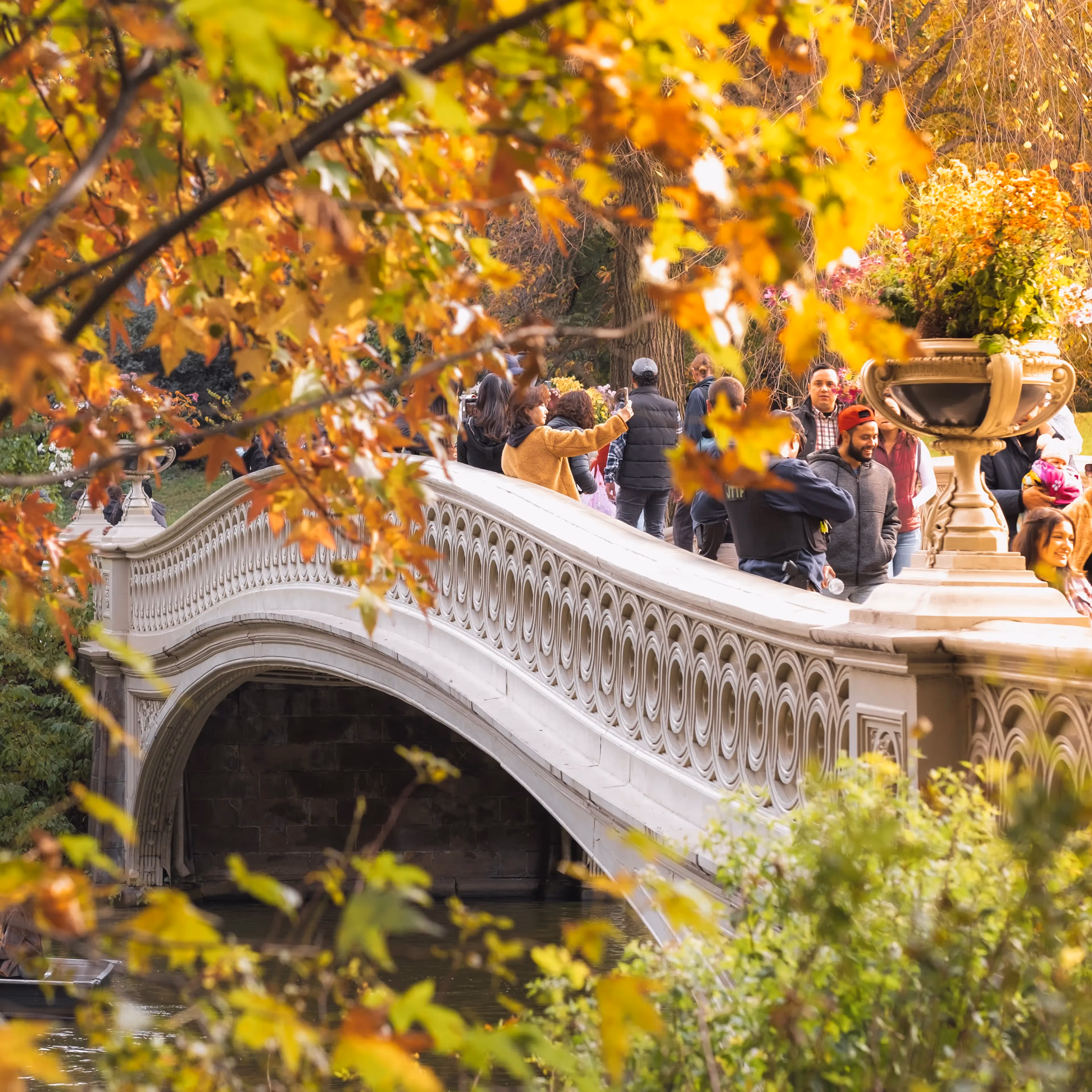 Central Park Bike Rentals