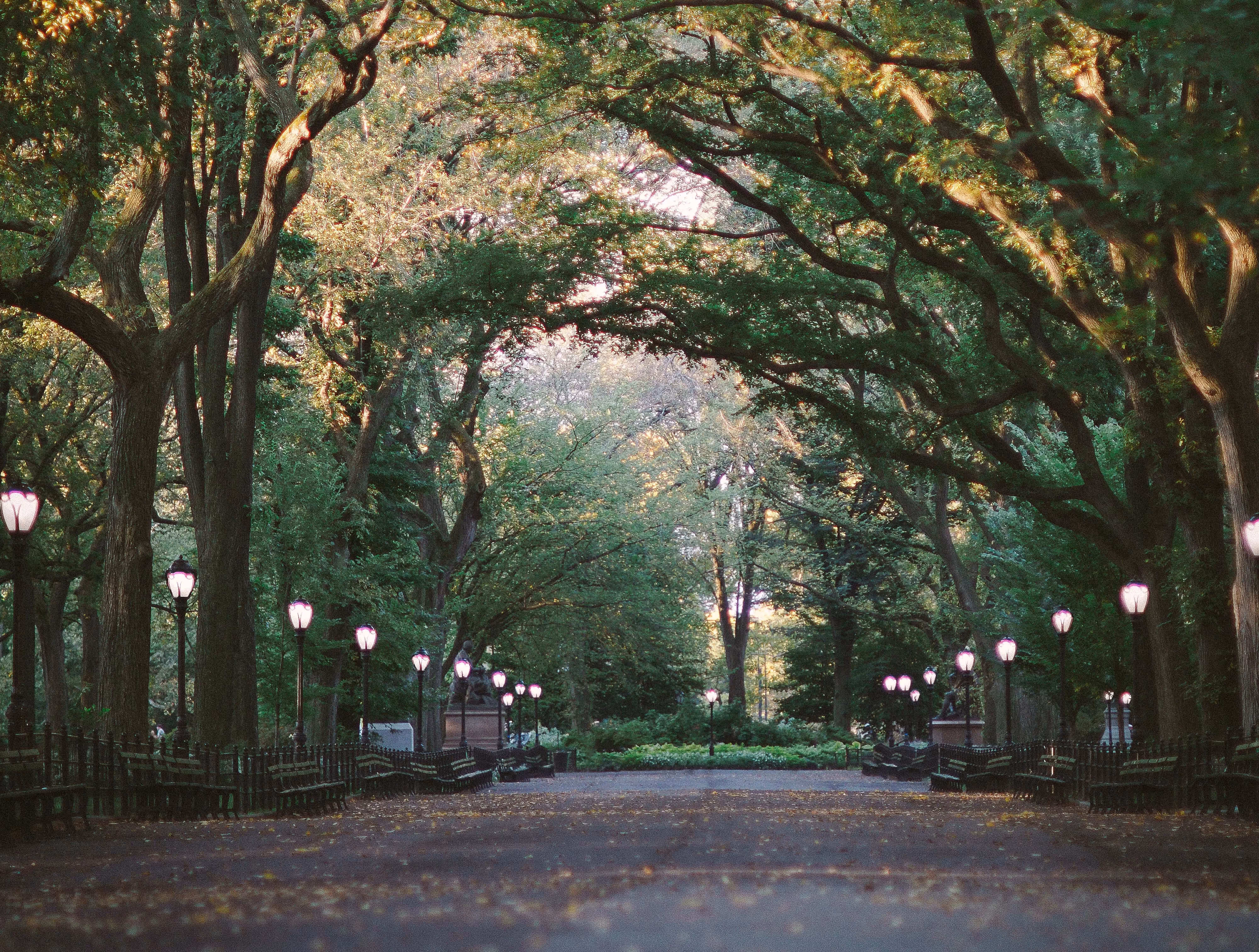 Central Park Bike Rentals